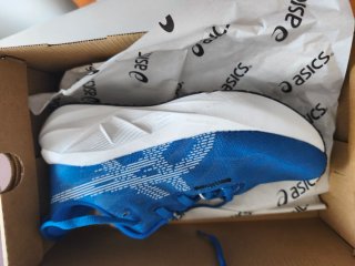 Asics Novablast 5 LE Zapatillas Running Azul