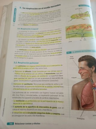 BIOLOGIA GEOLOGIA Y CIENCIAS AMBIENTALES 1 (CER)