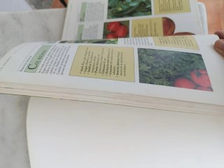El Jardin Organico