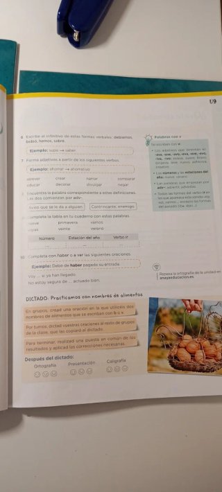 Lengua 5 Primaria