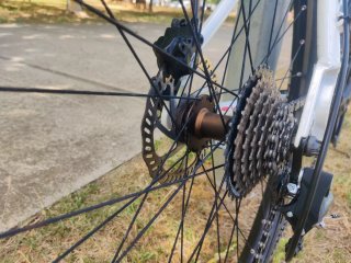 Bicicleta Focus Black Forest