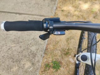 Bicicleta Focus Black Forest
