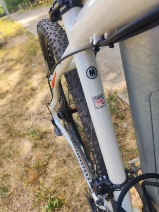 Bicicleta Focus Black Forest