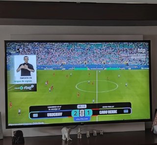 Televisor LG Smart TV 55 Negro