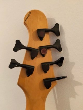 Bajo Epiphone Expert 6 cuerdas.