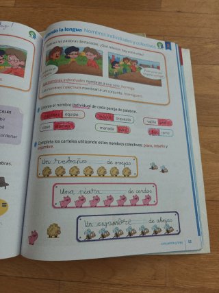 Libro Lengua SM 2 primaria