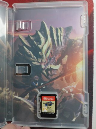 Monster Hunter Rise Nintendo Switch