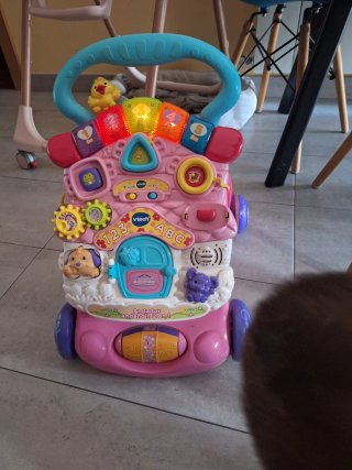 Correpasillos VTech Andandín 2 en 1