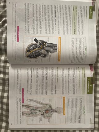 Anatomía aplicada, 1 Bachillerato