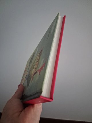 Libro infantil Lotta en galego