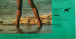 Vinilo Whitney Houston Álbum Debut