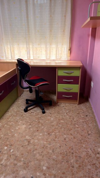 Cama nido y escritorio mas dos estanterias.