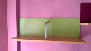 Cama nido y escritorio mas dos estanterias.