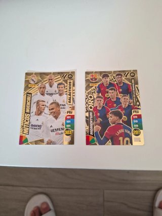 Cartas Panini 2024-25