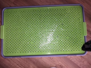 Empapador Césped Artificial Perro