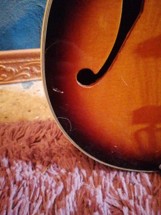 Guitarra Johnson Hollow Body electric