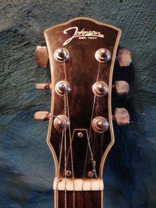 Guitarra Johnson Hollow Body electric