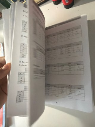 Diccionario latin