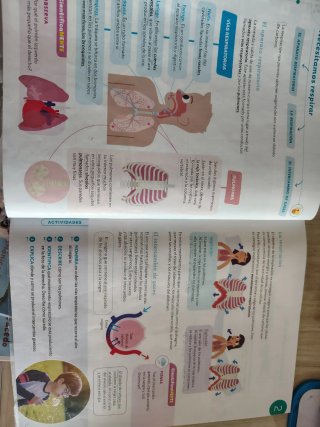 CONOCIMIENTO DEL MEDIO MOCHILA LIGERA 6 PRIMARI...