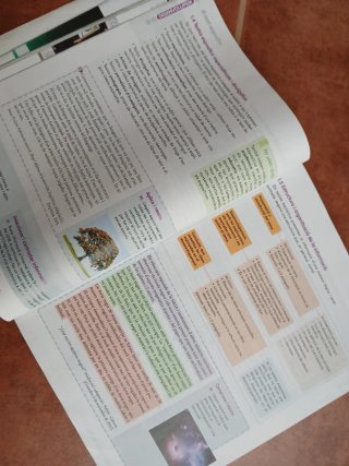 Llengua Catalana 3 ESO