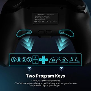 AceGamer Controller Wireless Nintendo Switch PC