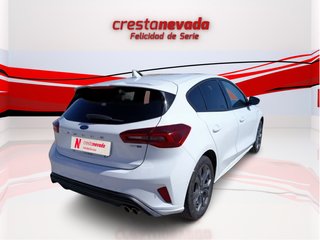 Focus - DESDE 229€ ¡SIN PAGAR ENTRADA!