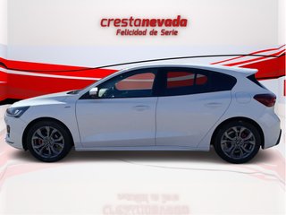 Focus - DESDE 229€ ¡SIN PAGAR ENTRADA!