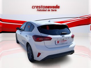 Focus - DESDE 229€ ¡SIN PAGAR ENTRADA!
