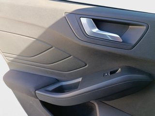Focus - DESDE 229€ ¡SIN PAGAR ENTRADA!