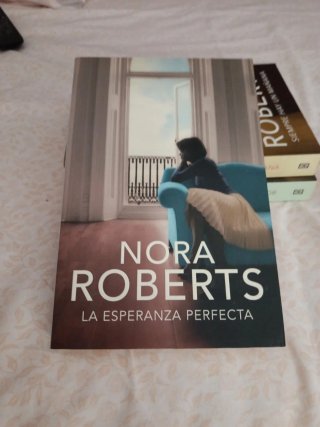 La esperanza perfecta (Hotel Boonsboro 3)