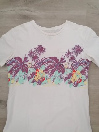 6 camisetas marcas + bañador