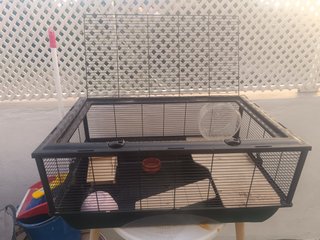 Jaula para hámster/cobaya en buen estado