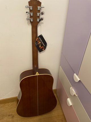 Guitarra acústica Ritter