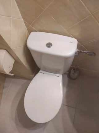 Lavabo y WC Roca Blanco Porcelana