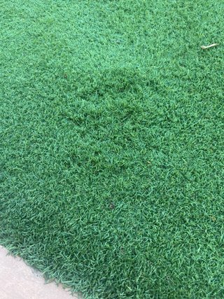 Césped artificial para jardín