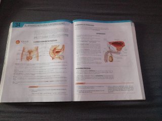 Biología y Geología II, ESO, Secundaria, De otr...
