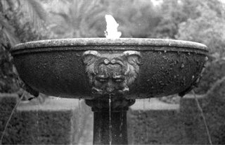 Minolta Minoltina S Cámara Analógica