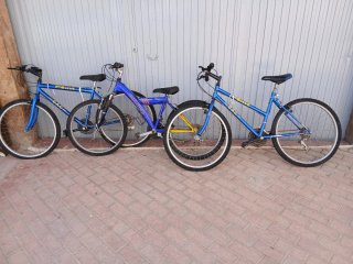 Bicicletas GAC montaña Poin (3 unidades)