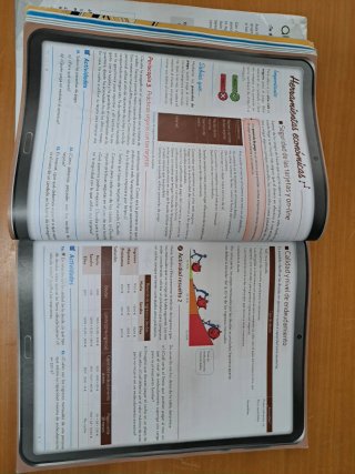 Economía y emprendimiento 4o ESO