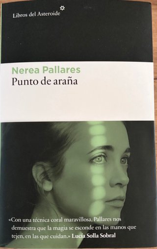 Punto de araña