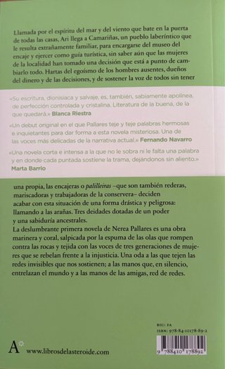 Punto de araña