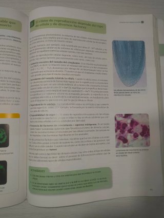 Biología 2 Bachillerato : Serie Observa Santillana