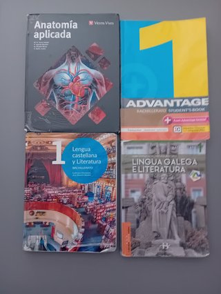 Lengua castellana y Literatura 1º Bachillerato ...
