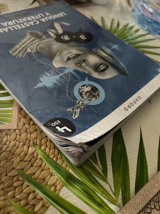 Lengua castellana y literatura Geniox