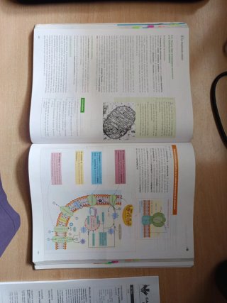 Biología 2 bachillerato, Operación Mundo