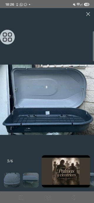 Baúl portaequipajes para techo de coche