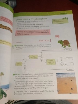 Ciencias de la naturaleza, 3 Primaria, Castilla...