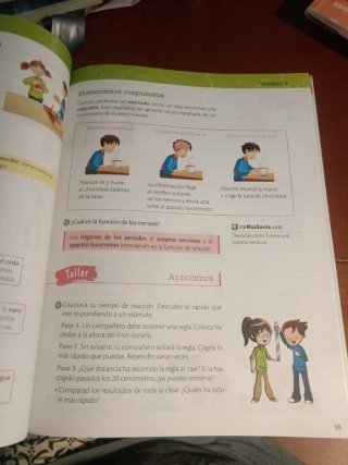 Ciencias de la naturaleza, 3 Primaria, Castilla...
