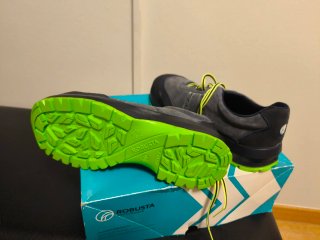 Zapato de seguridad ROBUSTA 39 EU