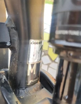 Bicicleta Eléctrica Giant